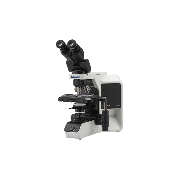 奥林巴斯BX43显微镜 正置